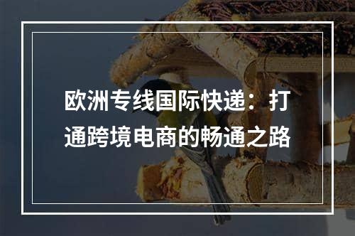 欧洲专线国际快递：打通跨境电商的畅通之路