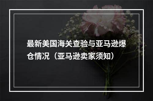 最新美国海关查验与亚马逊爆仓情况（亚马逊卖家须知）