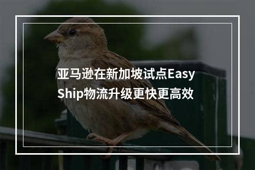 亚马逊在新加坡试点Easy Ship物流升级更快更高效