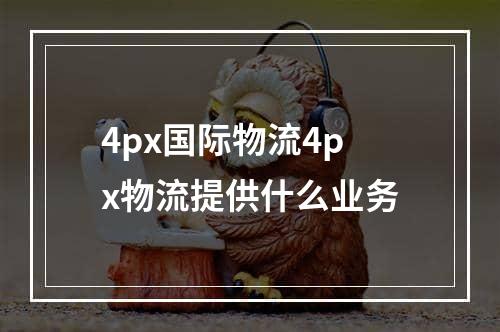 4px国际物流4px物流提供什么业务