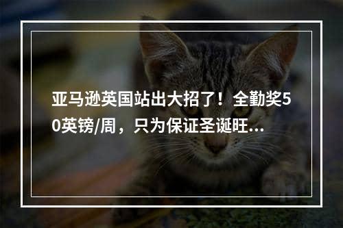 亚马逊英国站出大招了！全勤奖50英镑/周，只为保证圣诞旺季正常发货！