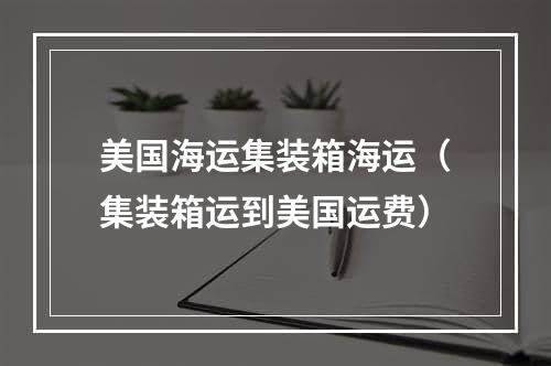 美国海运集装箱海运（集装箱运到美国运费）