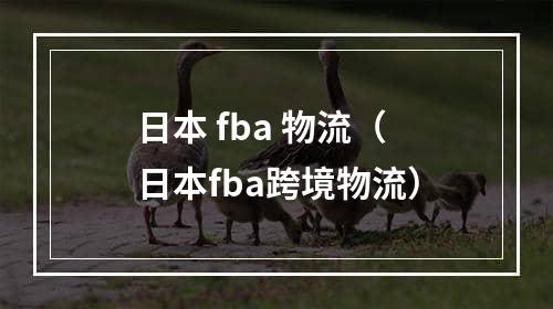 日本 fba 物流（日本fba跨境物流）