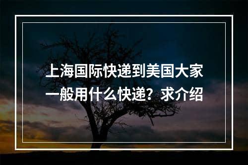 上海国际快递到美国大家一般用什么快递？求介绍