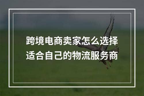 跨境电商卖家怎么选择适合自己的物流服务商