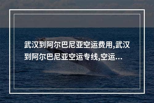 武汉到阿尔巴尼亚空运费用,武汉到阿尔巴尼亚空运专线,空运包机