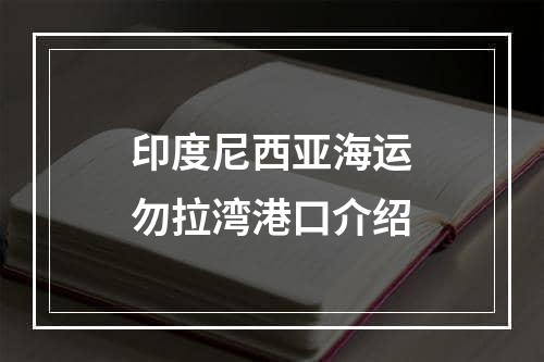 印度尼西亚海运勿拉湾港口介绍