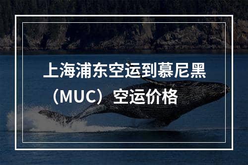 上海浦东空运到慕尼黑（MUC）空运价格