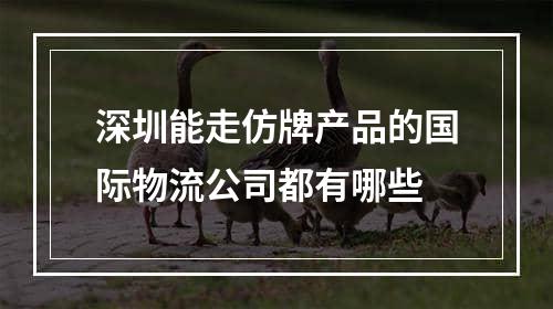 深圳能走仿牌产品的国际物流公司都有哪些