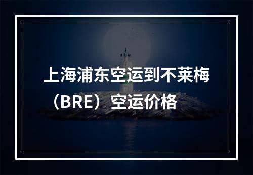 上海浦东空运到不莱梅（BRE）空运价格