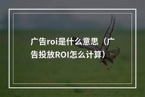 广告roi是什么意思（广告投放ROI怎么计算）