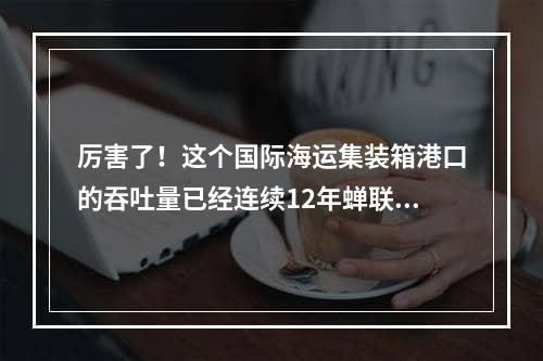 厉害了！这个国际海运集装箱港口的吞吐量已经连续12年蝉联全球第一！