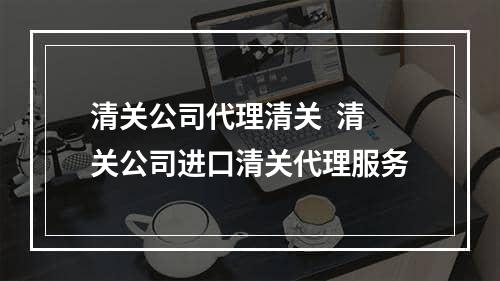 清关公司代理清关  清关公司进口清关代理服务