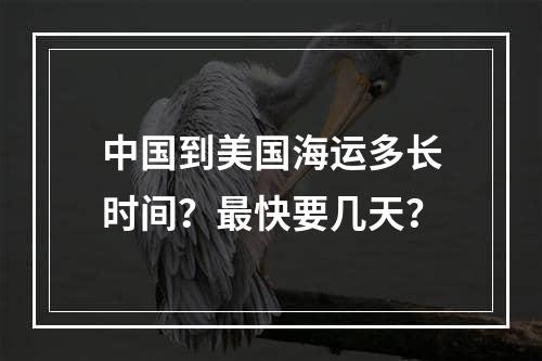 中国到美国海运多长时间？最快要几天？