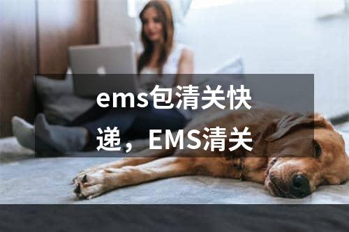 ems包清关快递，EMS清关