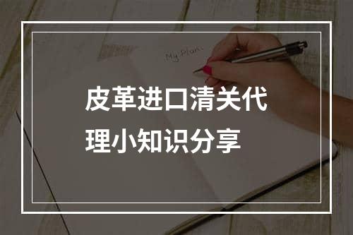 皮革进口清关代理小知识分享