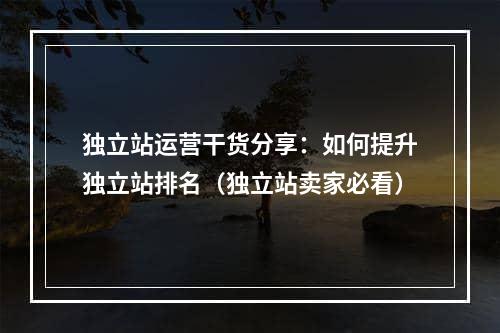 独立站运营干货分享：如何提升独立站排名（独立站卖家必看）