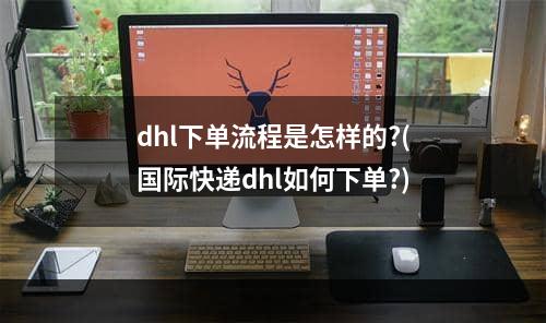 dhl下单流程是怎样的?(国际快递dhl如何下单?)