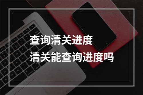 查询清关进度  清关能查询进度吗