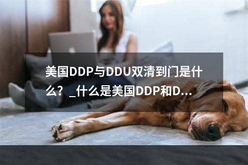 美国DDP与DDU双清到门是什么？_什么是美国DDP和DDU双张海关？