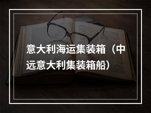 意大利海运集装箱（中远意大利集装箱船）