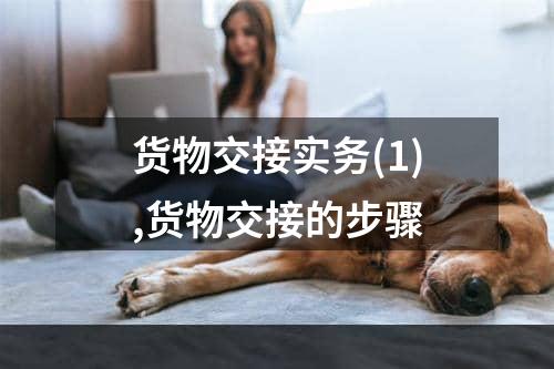 货物交接实务(1),货物交接的步骤