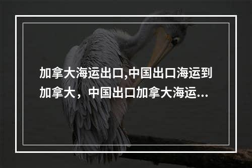 加拿大海运出口,中国出口海运到加拿大，中国出口加拿大海运怎么做