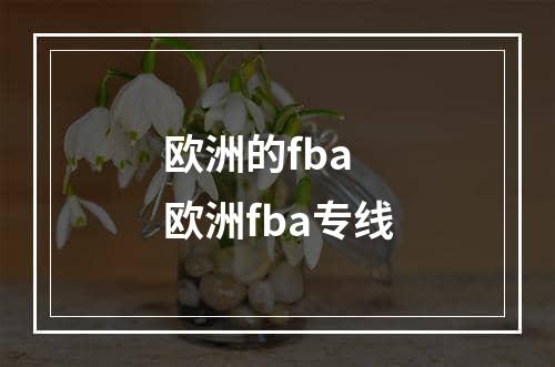 欧洲的fba  欧洲fba专线