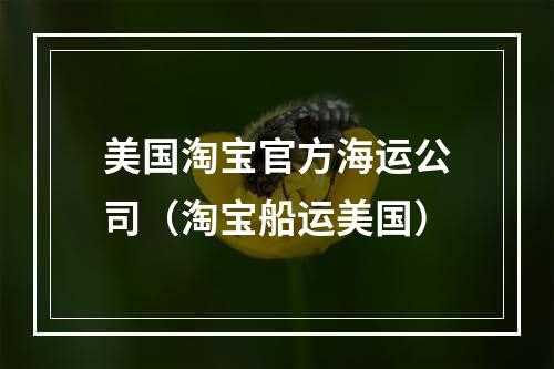 美国淘宝官方海运公司（淘宝船运美国）