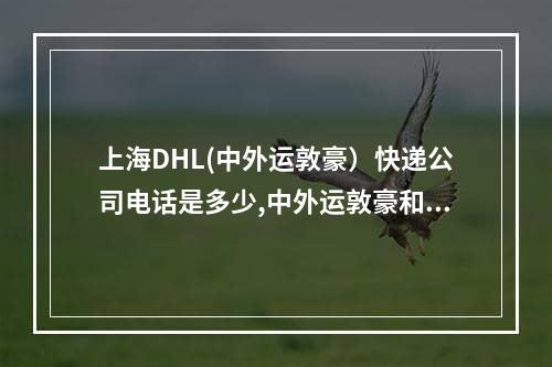 上海DHL(中外运敦豪）快递公司电话是多少,中外运敦豪和dhl到底是什么关系