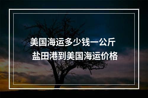 美国海运多少钱一公斤  盐田港到美国海运价格