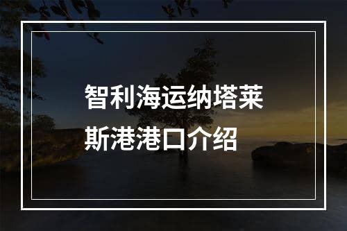 智利海运纳塔莱斯港港口介绍