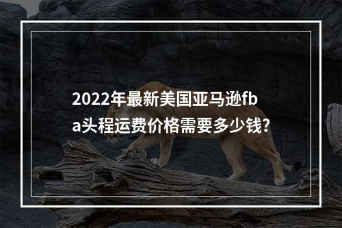 2022年最新美国亚马逊fba头程运费价格需要多少钱？