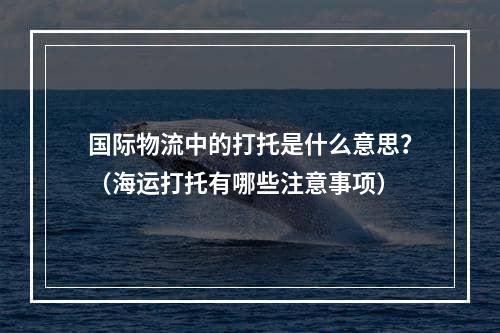 国际物流中的打托是什么意思？（海运打托有哪些注意事项）