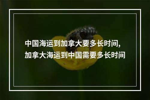 中国海运到加拿大要多长时间,加拿大海运到中国需要多长时间