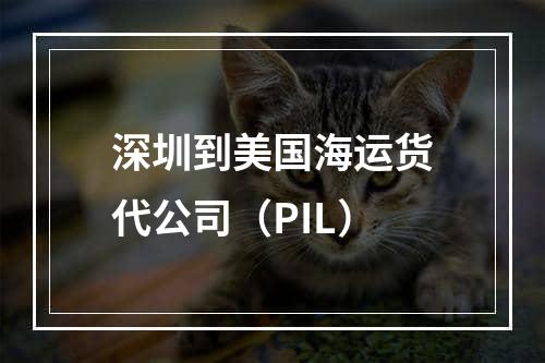 深圳到美国海运货代公司（PIL）