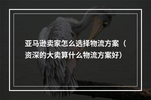 亚马逊卖家怎么选择物流方案（资深的大卖算什么物流方案好）