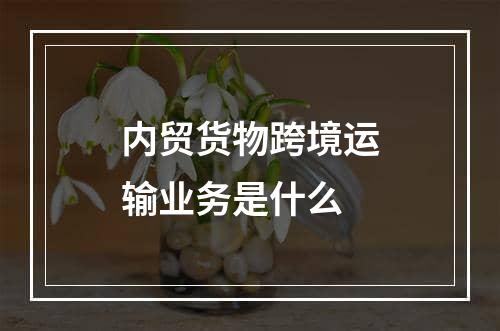 内贸货物跨境运输业务是什么