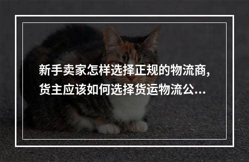 新手卖家怎样选择正规的物流商,货主应该如何选择货运物流公司