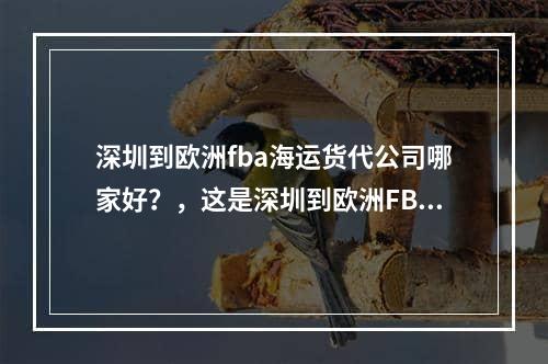 深圳到欧洲fba海运货代公司哪家好？，这是深圳到欧洲FBA运输公司吗？