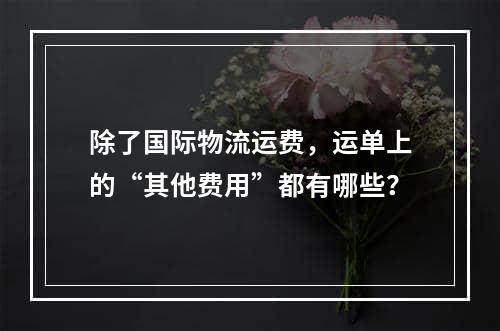 除了国际物流运费，运单上的“其他费用”都有哪些？