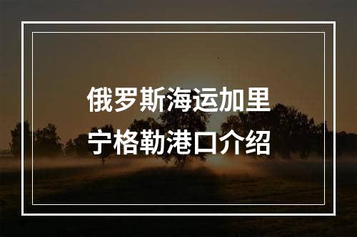 俄罗斯海运加里宁格勒港口介绍