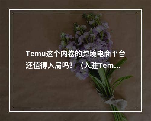 Temu这个内卷的跨境电商平台还值得入局吗？（入驻Temu需要哪些资料）