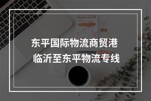 东平国际物流商贸港  临沂至东平物流专线