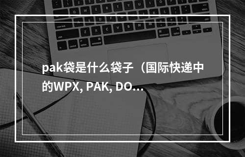 pak袋是什么袋子（国际快递中的WPX, PAK, DOC分别是什么意思）