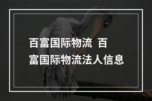 百富国际物流  百富国际物流法人信息