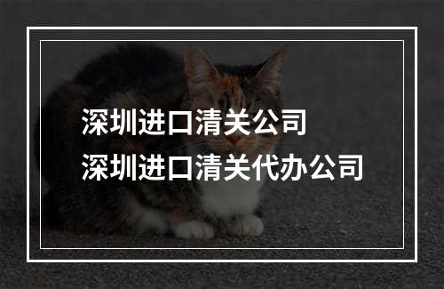 深圳进口清关公司  深圳进口清关代办公司