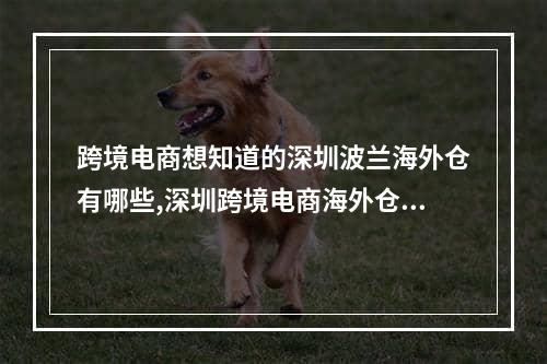 跨境电商想知道的深圳波兰海外仓有哪些,深圳跨境电商海外仓一般多少钱