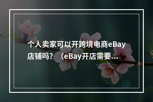 个人卖家可以开跨境电商eBay店铺吗？（eBay开店需要准备哪些资料）