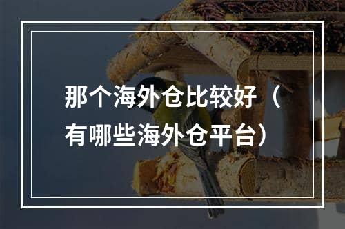 那个海外仓比较好（有哪些海外仓平台）